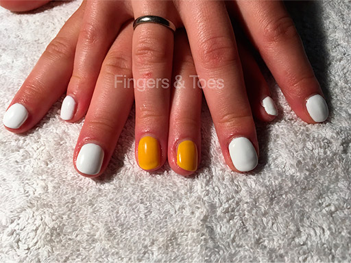 Shellac