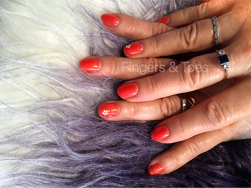 Shellac