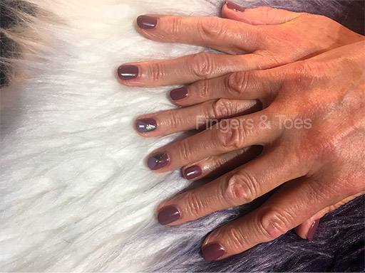 Shellac