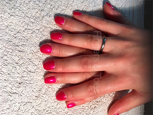 Shellac