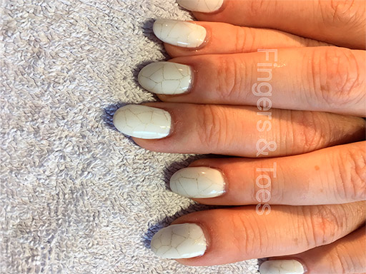 Acrylics