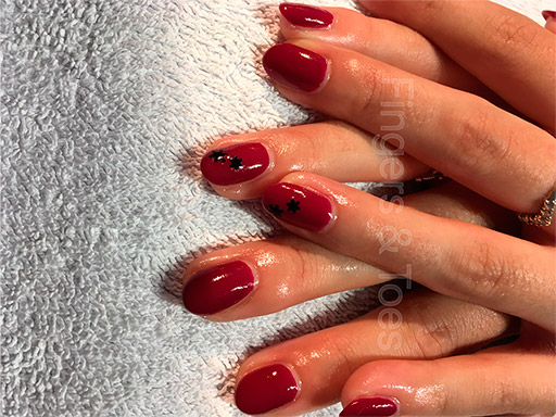Shellac