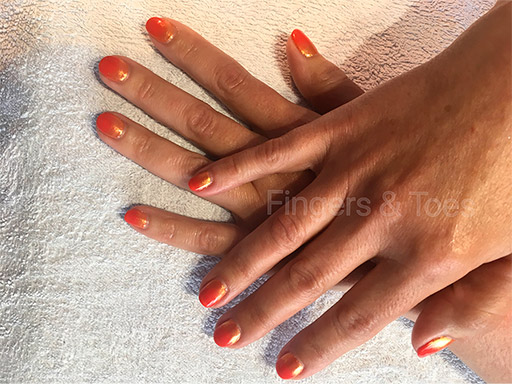 Shellac